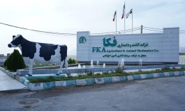 نسل تازه دامداری ایران