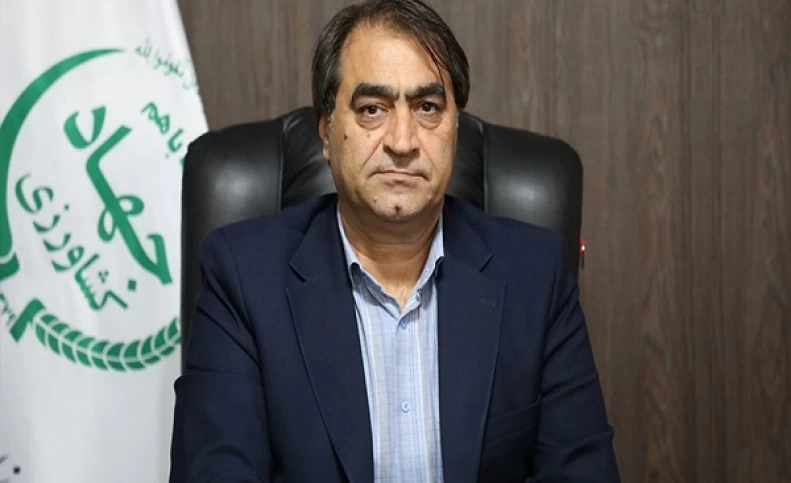 دولت قیمت گوشت، مرغ و تخم مرغ را اعلام کرد