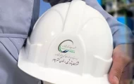 ارغوان گستر ایلام؛ تولیدی کمتر از انتظار در سال اول بهره‌برداری