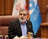 کمالوندی: منافعمان را به دست خواهیم آورد