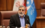 کمالوندی: منافعمان را به دست خواهیم آورد